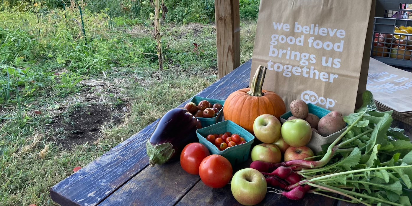  A variety of produce including eggplant, tomatoes, potatoes apples, beets and pumpkin are displayed on a table with a paper grocery bag that reads 