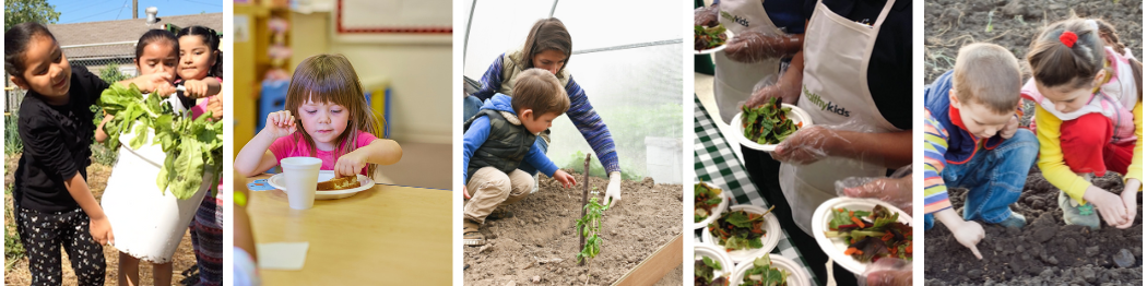 A row of photos of children engaged in growing, harvesting and eating vegetables.