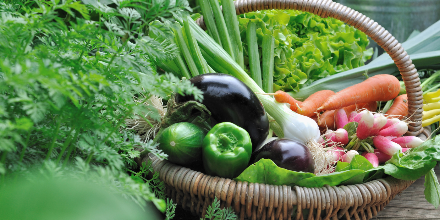 Image of a basket full of fresh picked vegetables.