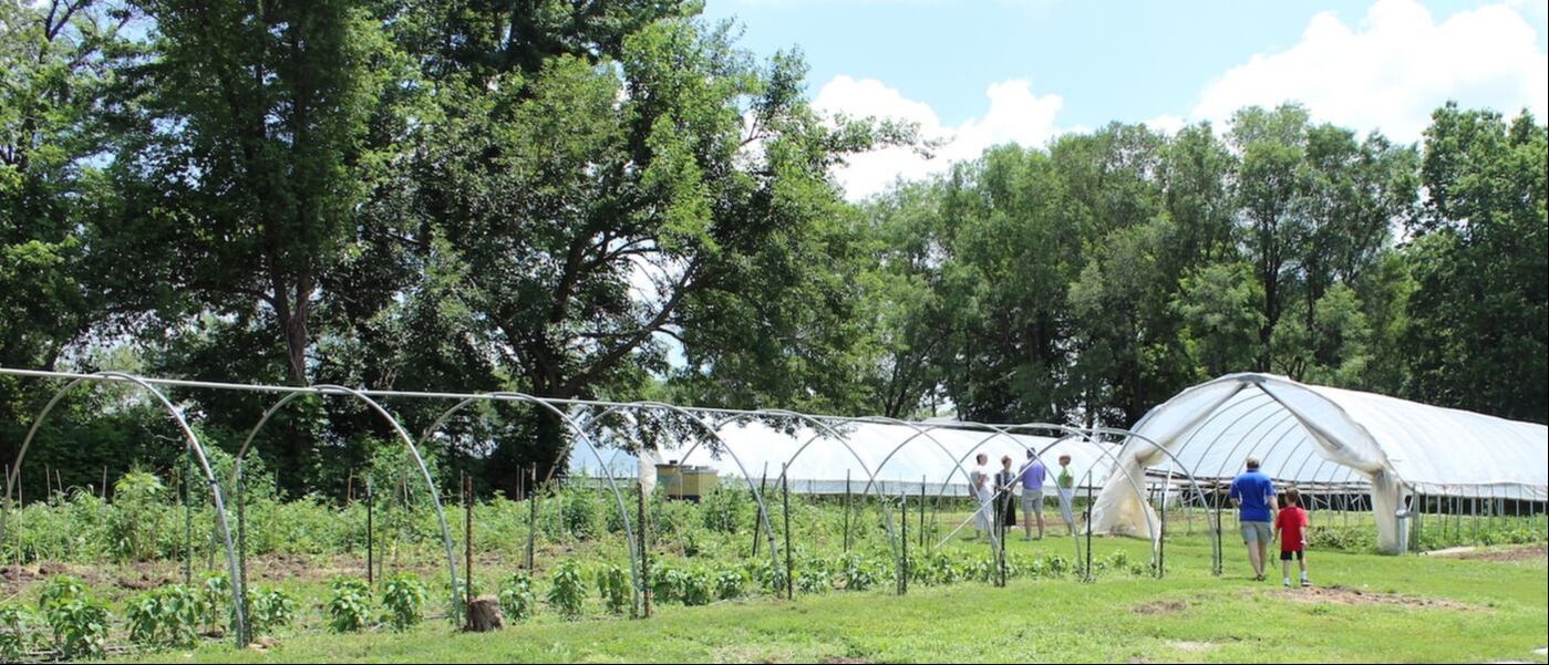 A group of people walk on a farm where hoop houses shelter plants from the cold.
