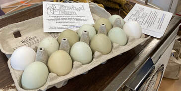 Image of egg carton with pale green eggs and Pinwheel Farm business cards