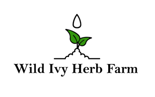 Wild Ivy Herb Farm Logo